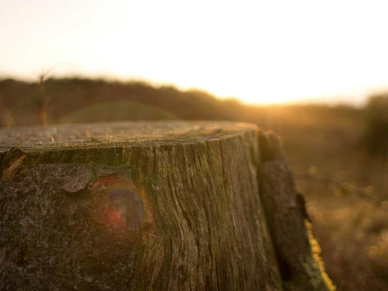 sudoku pattern learning screenshot 4